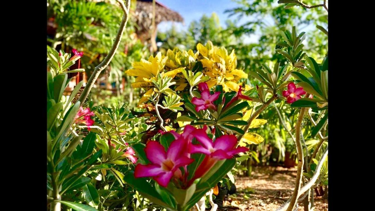 House @Bohol Garden Homes ปางเลา ภายนอก รูปภาพ
